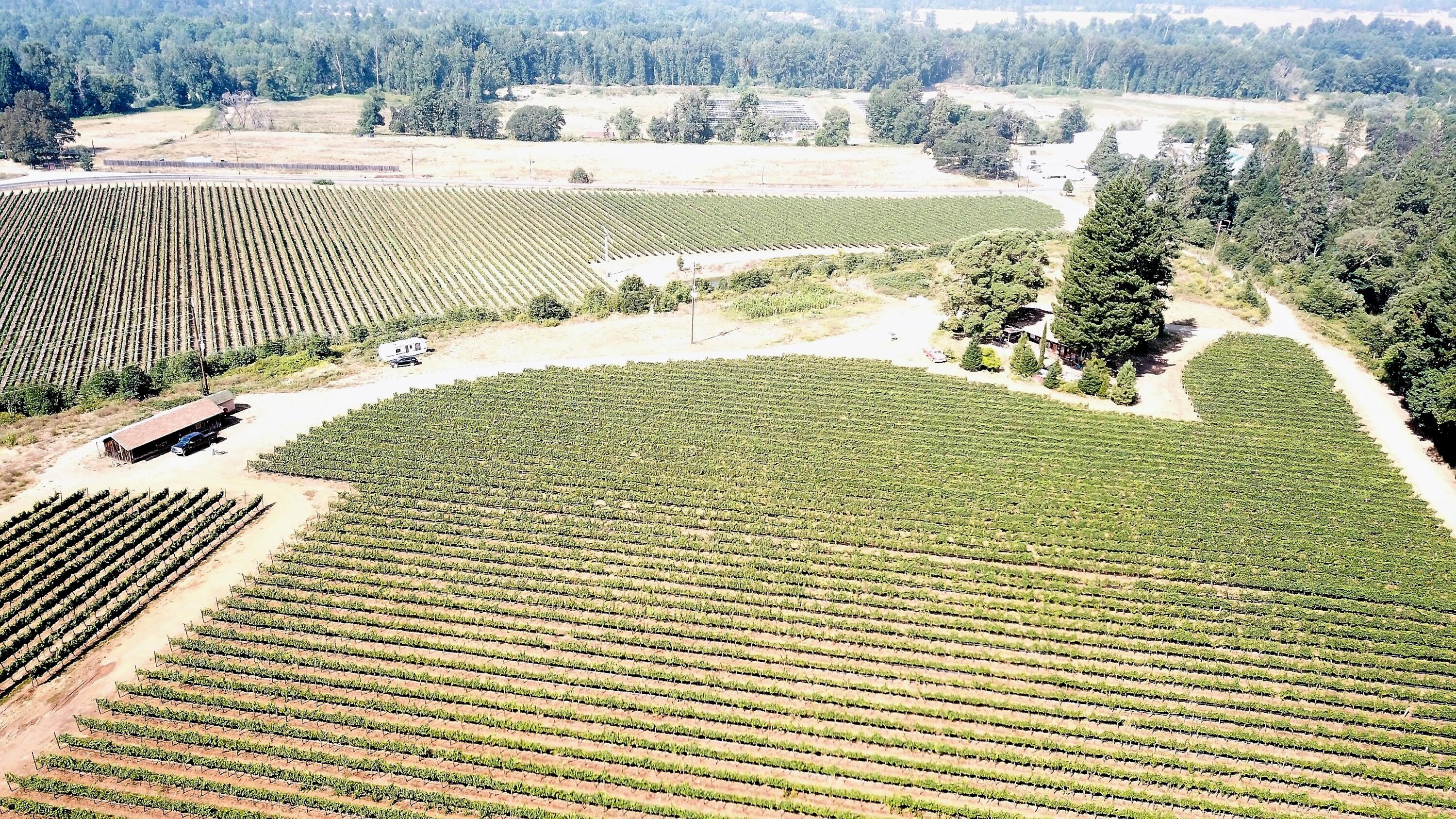 2789 Holland Loop Road Cave Junction, OR 97523 - Photo 10 of 25 DJI_0025