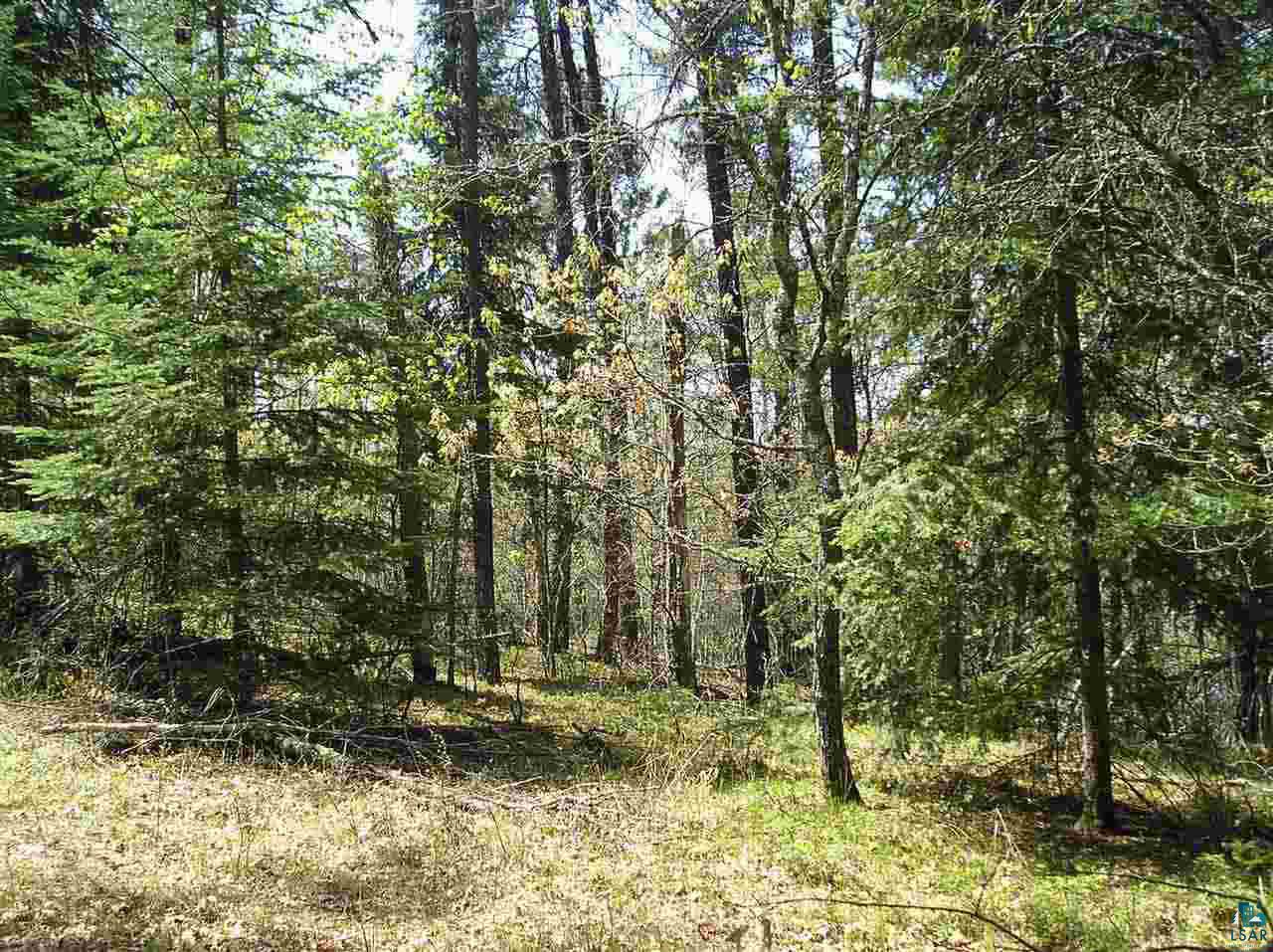 1 Whipperwill Road Gordon, WI 54838 - Photo 3 of 3