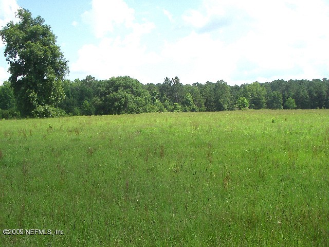17901 Lem Turner Road Jacksonville, FL 32218 - Photo 14 of 19 land pic 12