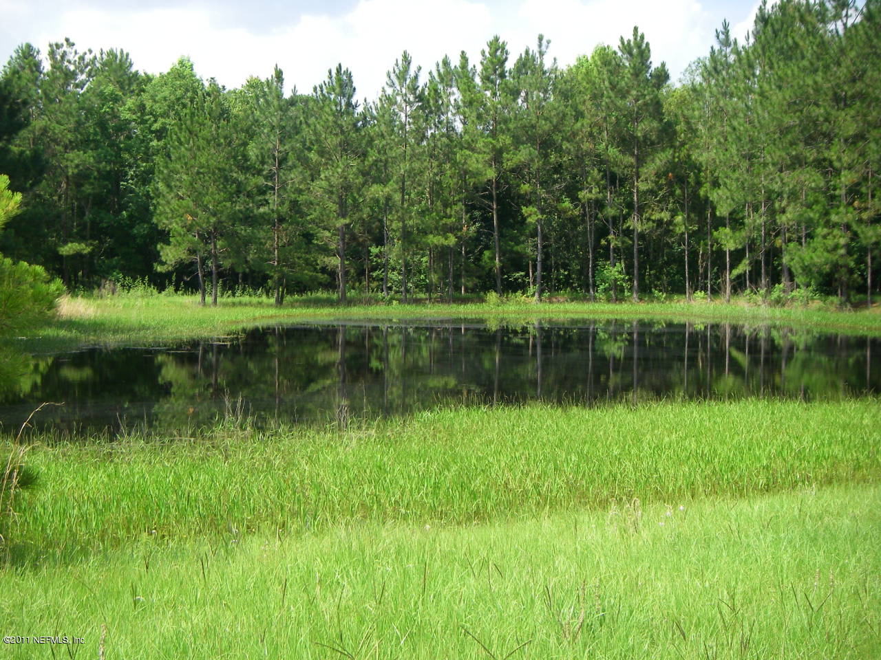 17901 Lem Turner Road Jacksonville, FL 32218 - Photo 15 of 19 Pond