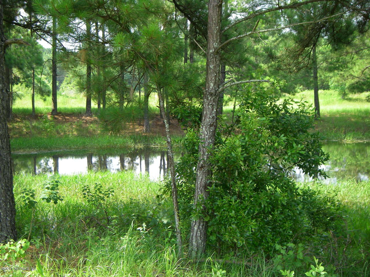 17901 Lem Turner Road Jacksonville, FL 32218 - Photo 16 of 19 Another Pond