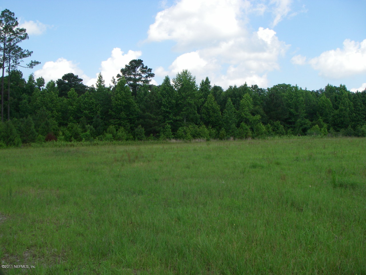 17901 Lem Turner Road Jacksonville, FL 32218 - Photo 19 of 19 Pasturland
