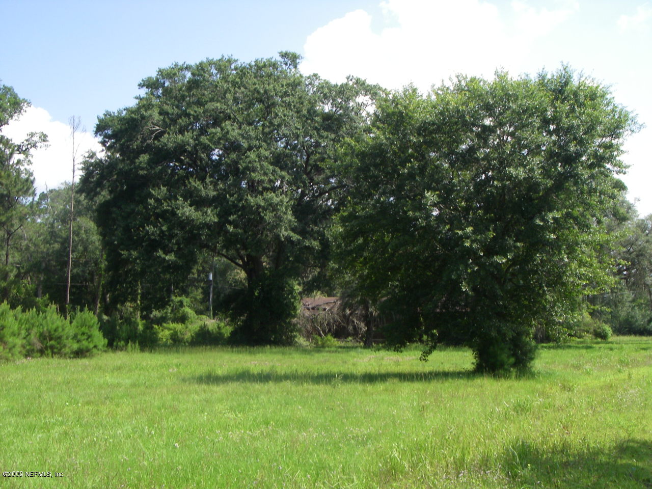 17901 Lem Turner Road Jacksonville, FL 32218 - Photo 5 of 19 Land Pic 4