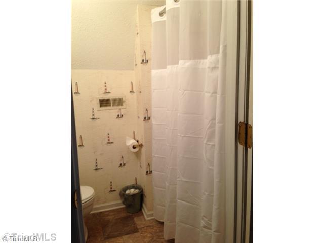 258 James Road Clemmons, NC 27012 - Photo 9 of 16 Master Bath/Spa.