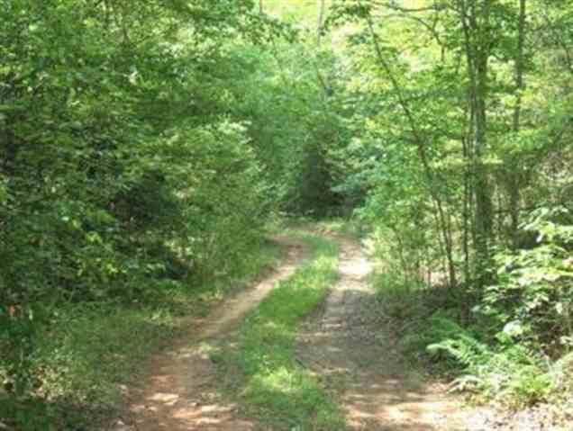 118 Trinity Trail Cleveland, SC 29635 - Photo 16 of 16