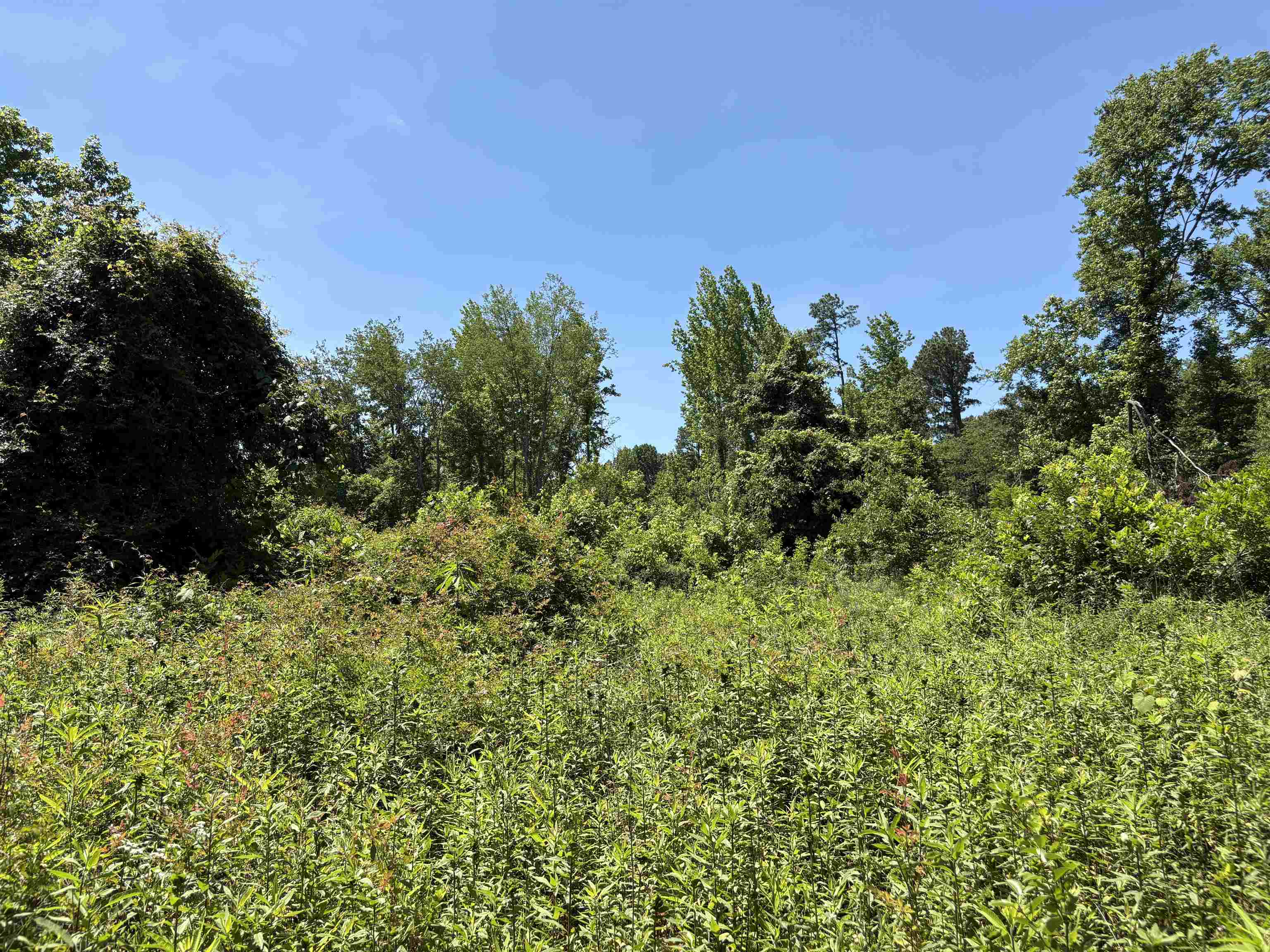 0 Walsh Road, Unit LOT 2 Millington, TN 38053 - Photo 5 of 9