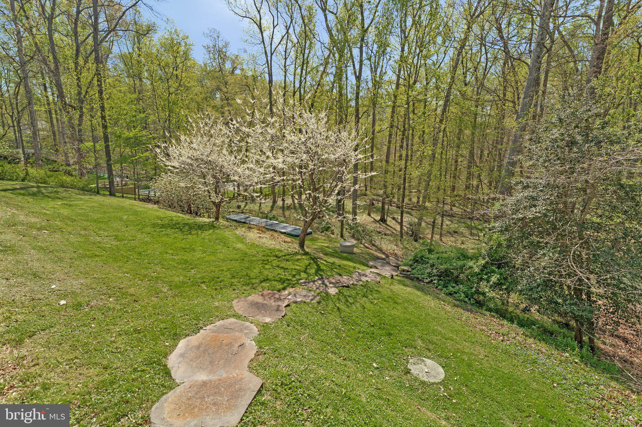 8611 Brook Road McLean, VA 22102 - Photo 4 of 104 Walk way down to Rocky Run Creek