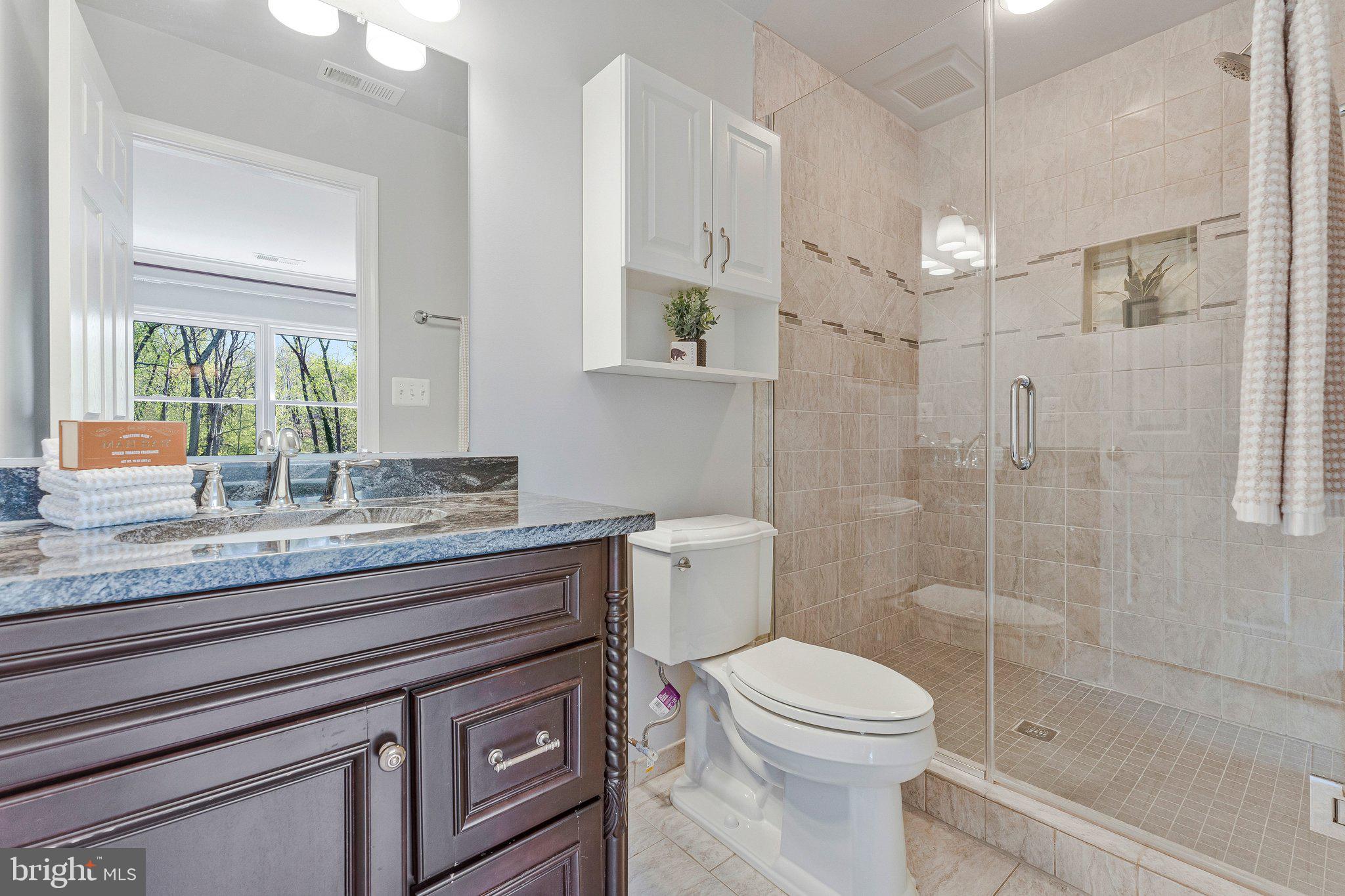 8611 Brook Road McLean, VA 22102 - Photo 67 of 104 a bathroom with a granite countertop sink a toilet and shower