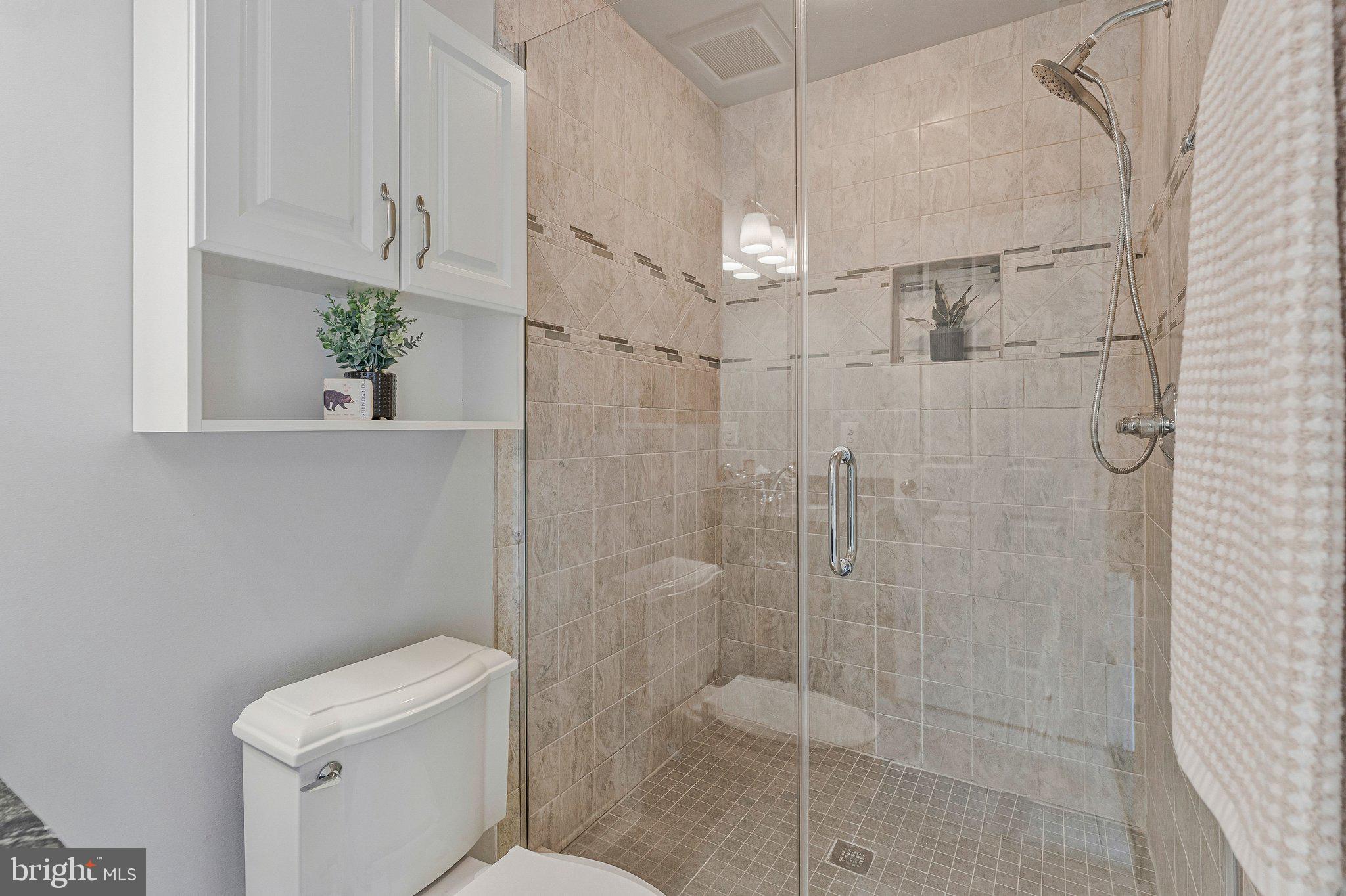 8611 Brook Road McLean, VA 22102 - Photo 68 of 104 a bathroom with a shower and toilet