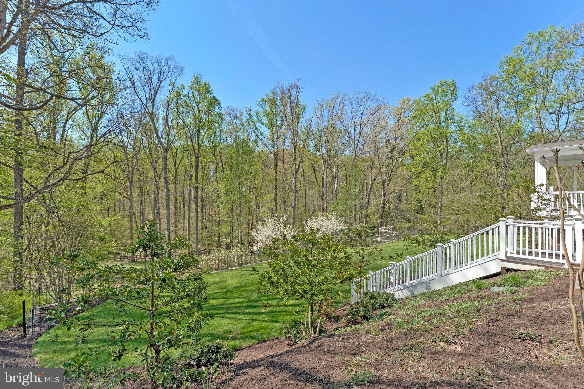 8611 Brook Road McLean, VA 22102 - Photo 7 of 104 a garden view