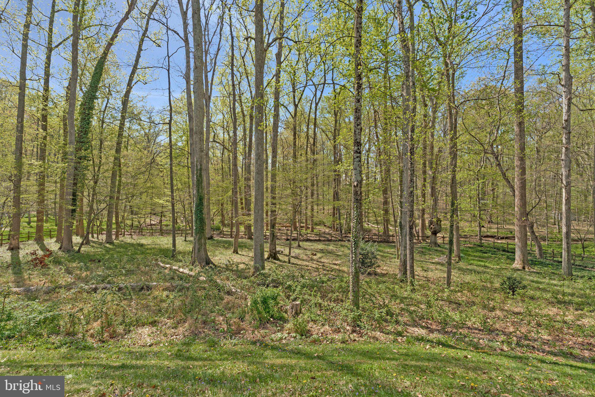 8611 Brook Road McLean, VA 22102 - Photo 100 of 104 Rocky Run Creek beyond the fence