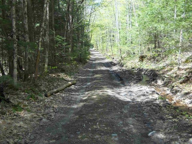 0 South Deming Road, Unit PORTION OF LOT 4 Cornish, NH 03745 - Photo 1 of 4