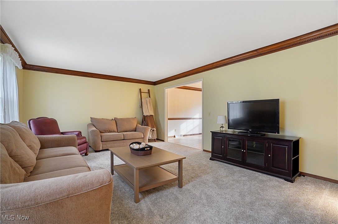 2910 Oxbow Road Richfield, OH 44286 - Photo 6 of 46 new carpet