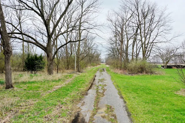 $60,000 | 109 West South Park Street, Thawville, IL 60968