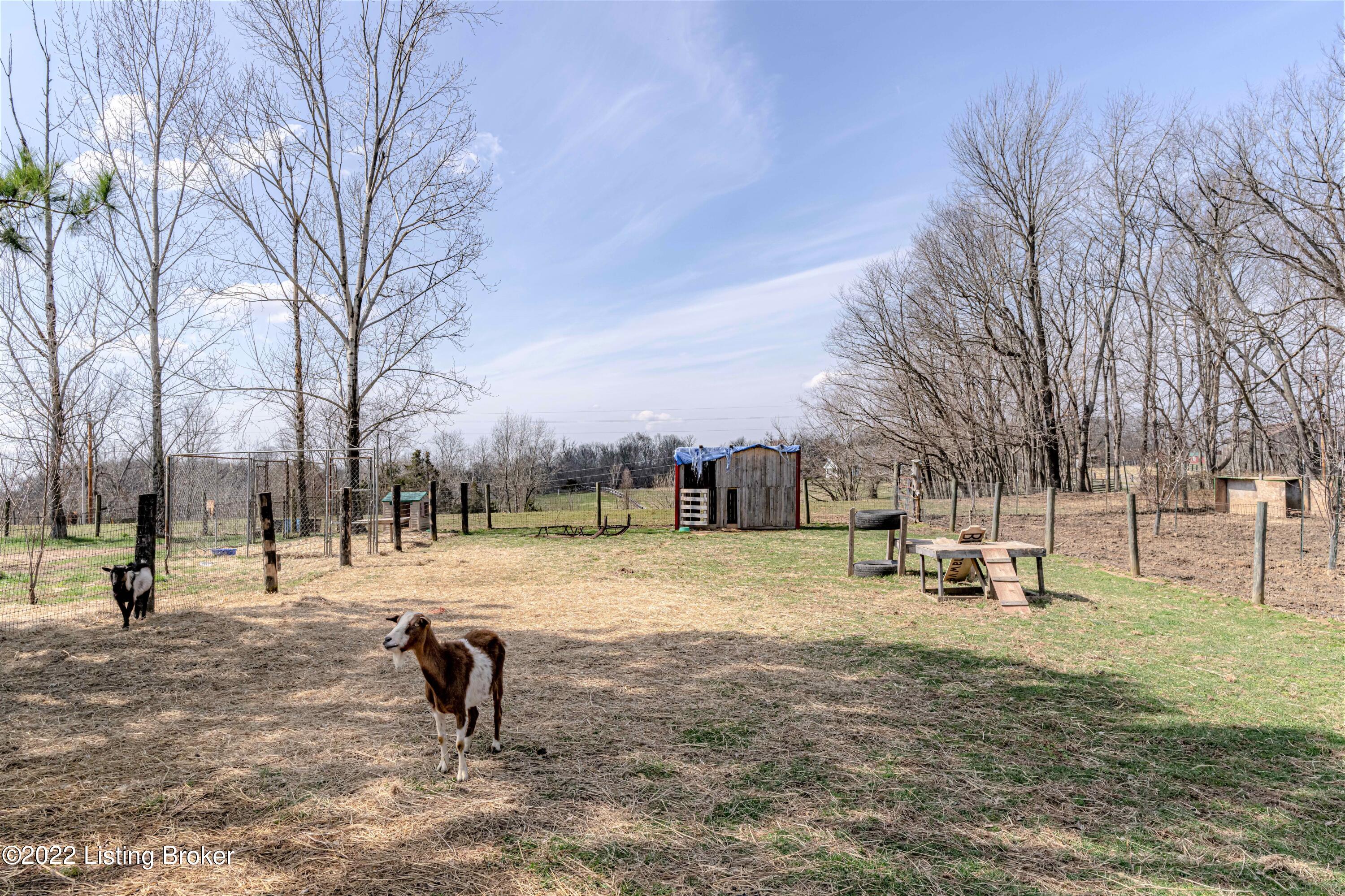 9490 Waddy Road Waddy, KY 40076 - Photo 33 of 36 Pasture2