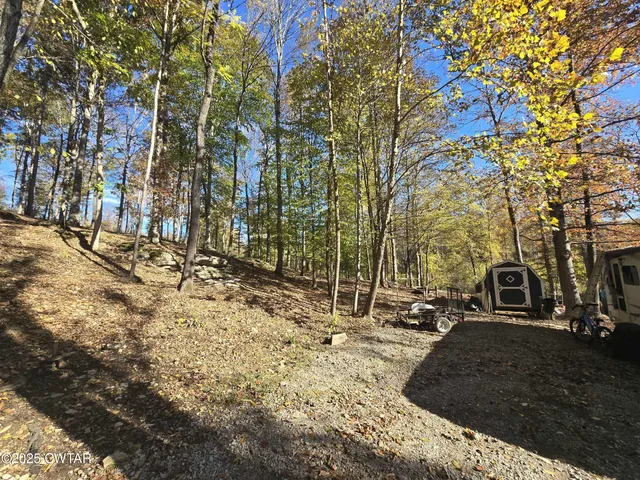 a backyard of a house with large trees