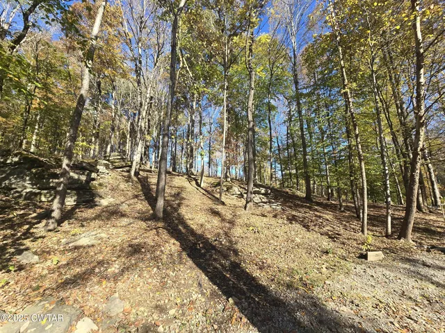 a view of outdoor space with trees