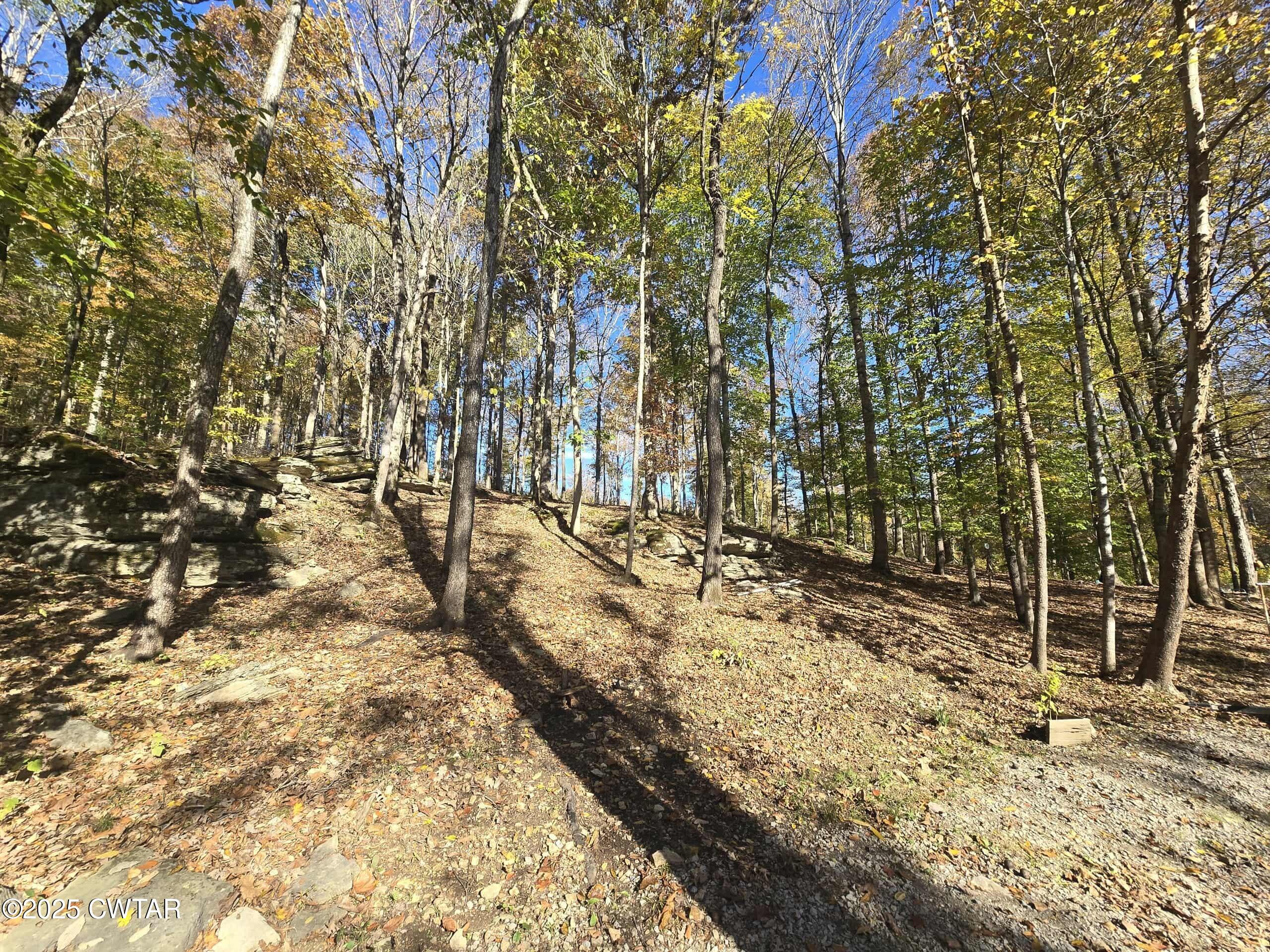 263 Porter Hollow Road Linden, TN 37096 - Photo 14 of 20 a view of outdoor space with trees