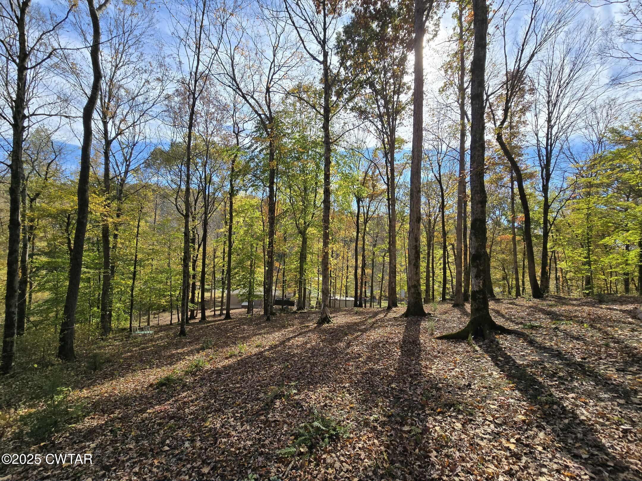 263 Porter Hollow Road Linden, TN 37096 - Photo 15 of 20 a view of outdoor space with deck and trees