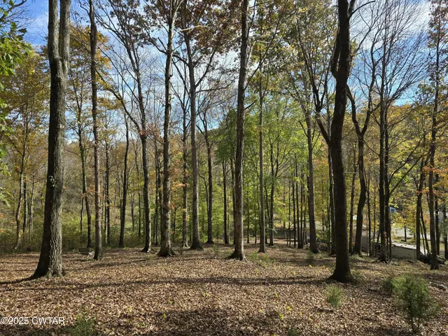 a backyard of a house with lots of trees