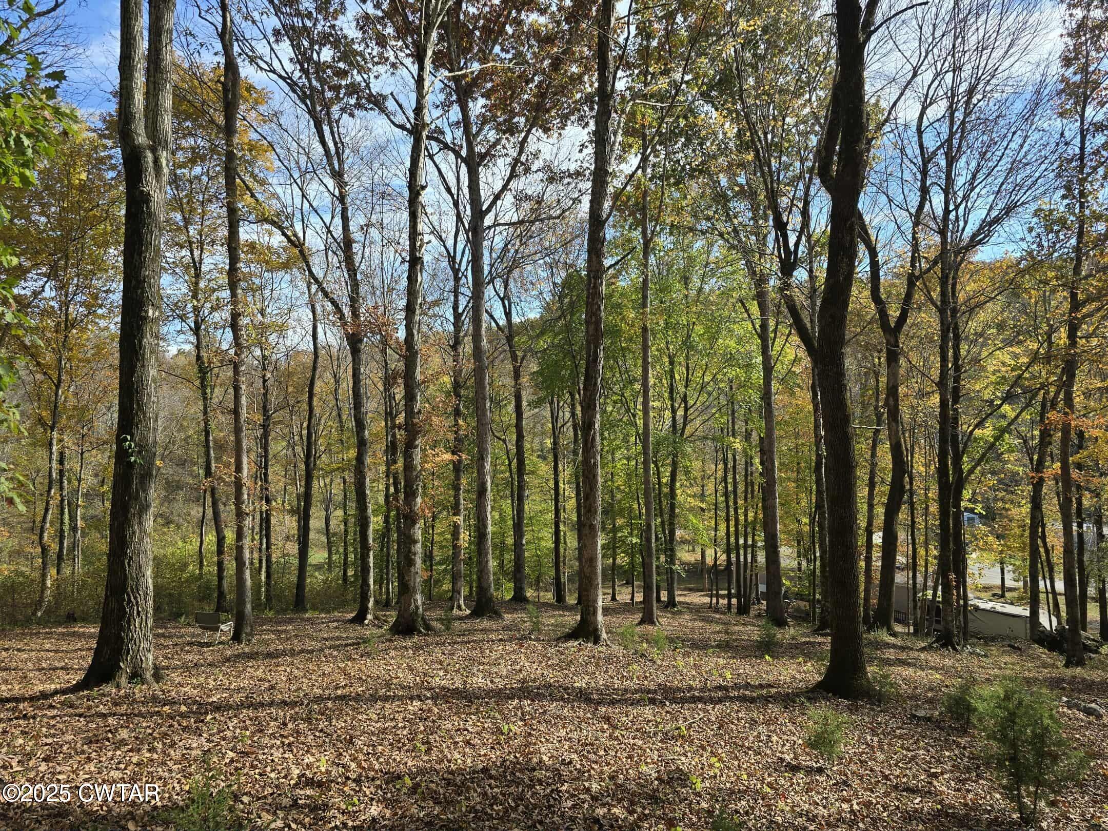263 Porter Hollow Road Linden, TN 37096 - Photo 16 of 20 a backyard of a house with lots of trees