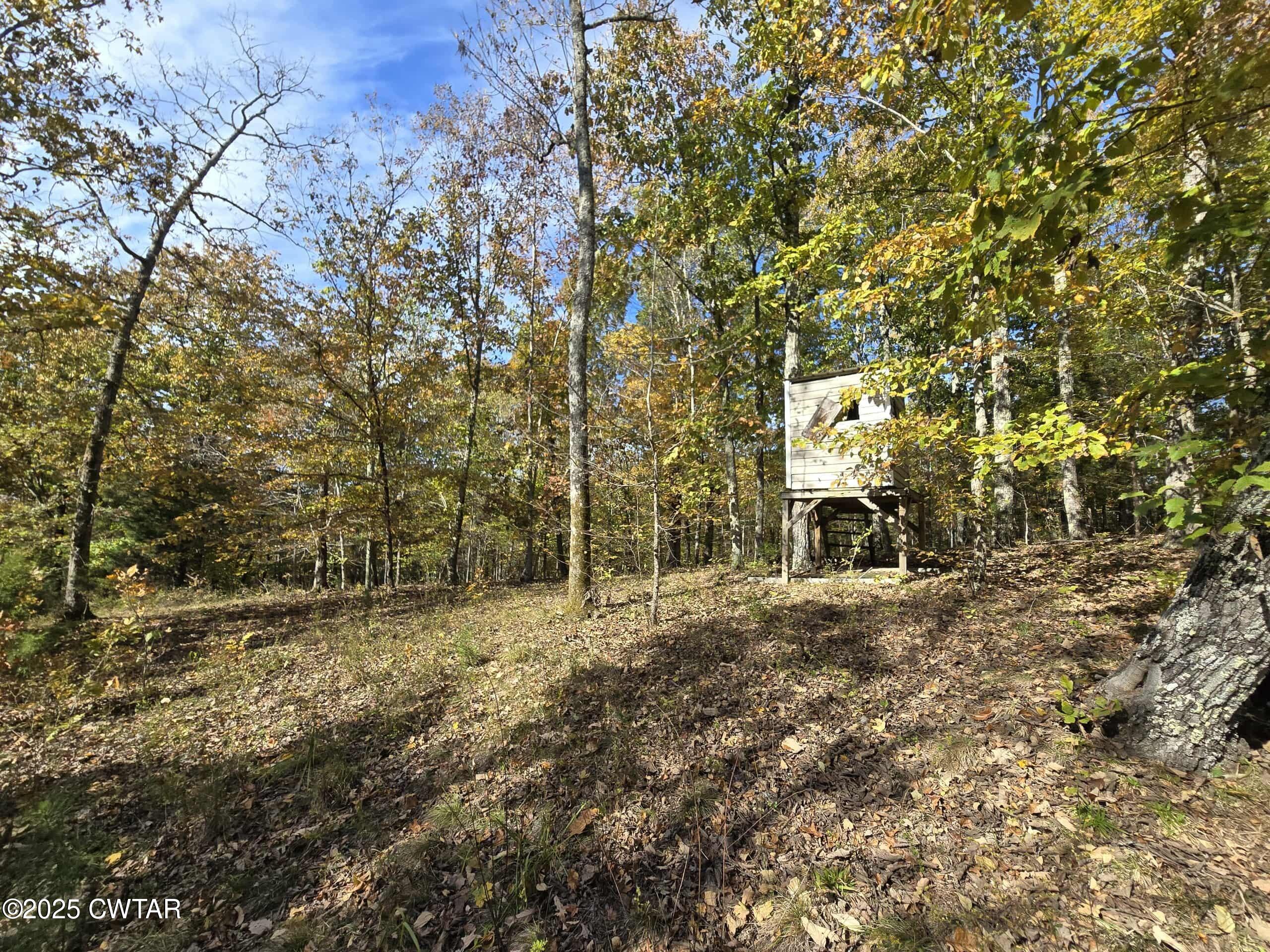 263 Porter Hollow Road Linden, TN 37096 - Photo 17 of 20