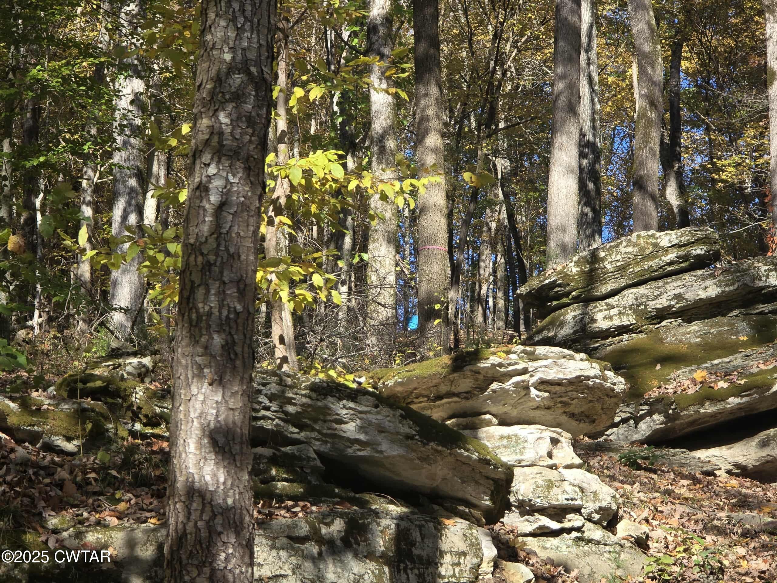 263 Porter Hollow Road Linden, TN 37096 - Photo 19 of 20 a view of outdoor space