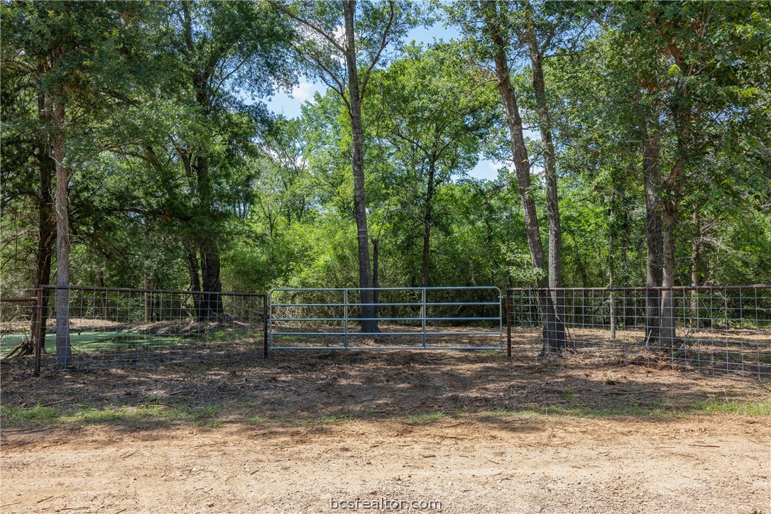 Tbd Weber Road Bryan, TX 77808 - Photo 2 of 43