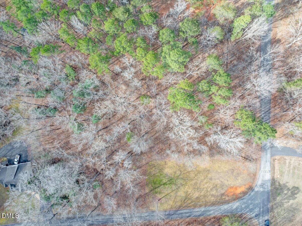 1638 Kingswood Road Buffalo Junction, VA 24529 - Photo 4 of 15 a view of a yard