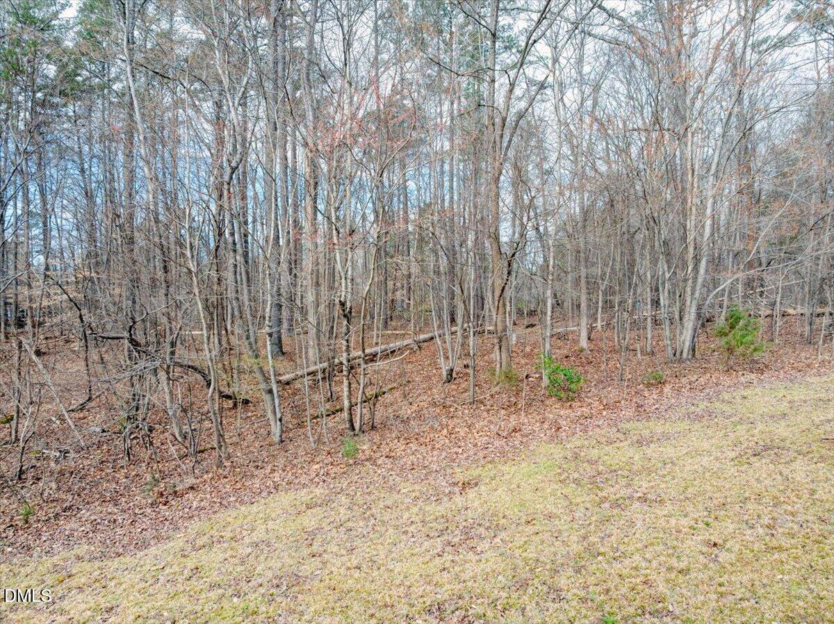 1638 Kingswood Road Buffalo Junction, VA 24529 - Photo 5 of 15 a backyard of a house with lots of green space