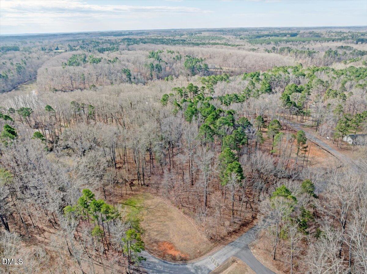 1638 Kingswood Road Buffalo Junction, VA 24529 - Photo 6 of 15 a view of a dry yard with trees