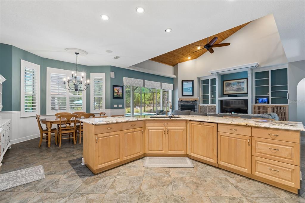 5438 Drexel Road Land O' Lakes, FL 34638 - Photo 14 of 72