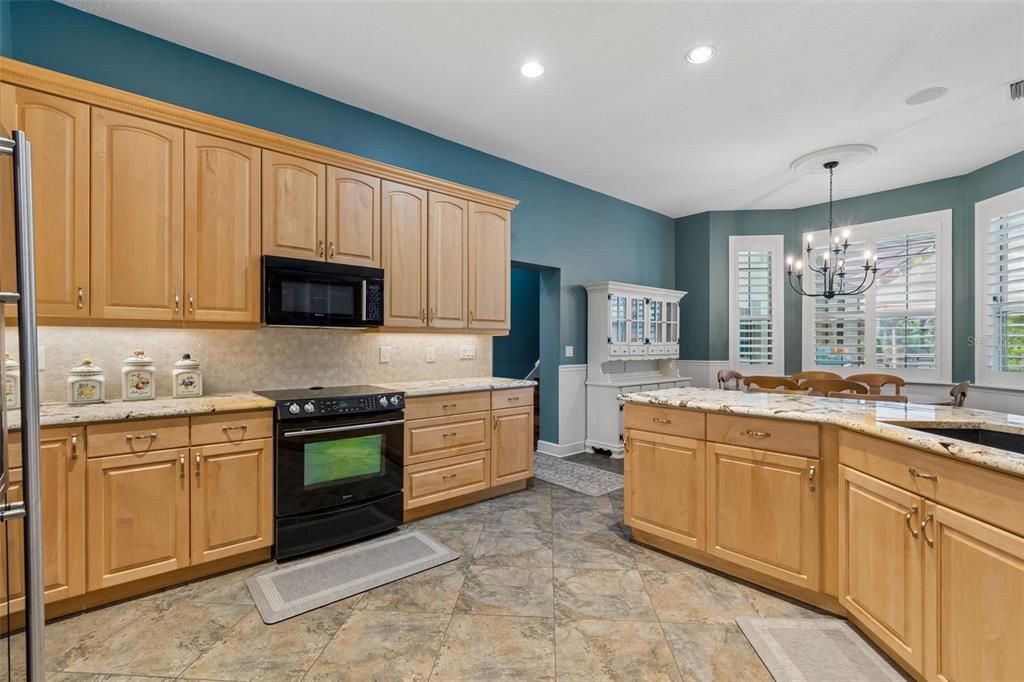 5438 Drexel Road Land O' Lakes, FL 34638 - Photo 15 of 72