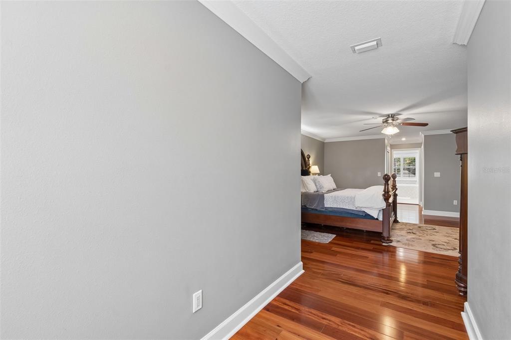 5438 Drexel Road Land O' Lakes, FL 34638 - Photo 25 of 72
