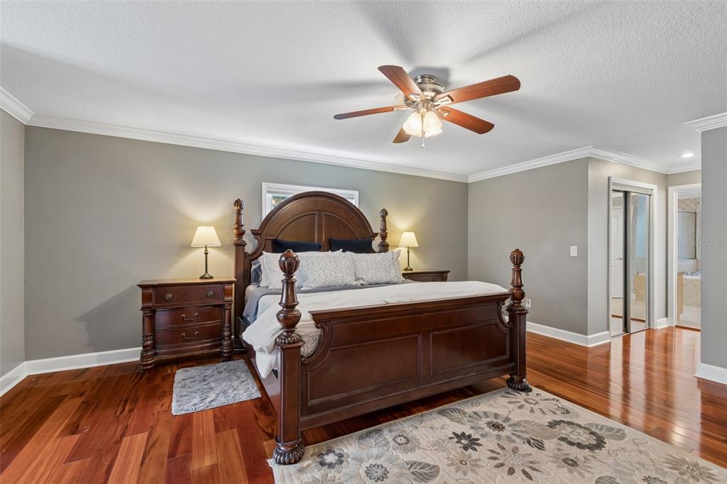 5438 Drexel Road Land O' Lakes, FL 34638 - Photo 26 of 72