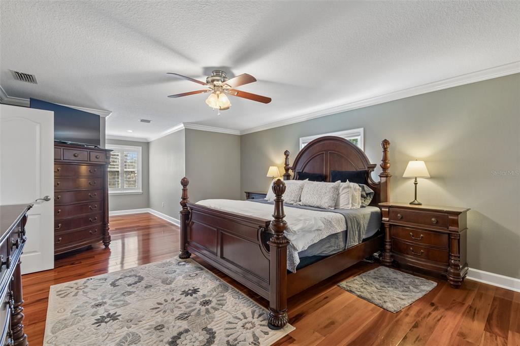 5438 Drexel Road Land O' Lakes, FL 34638 - Photo 27 of 72