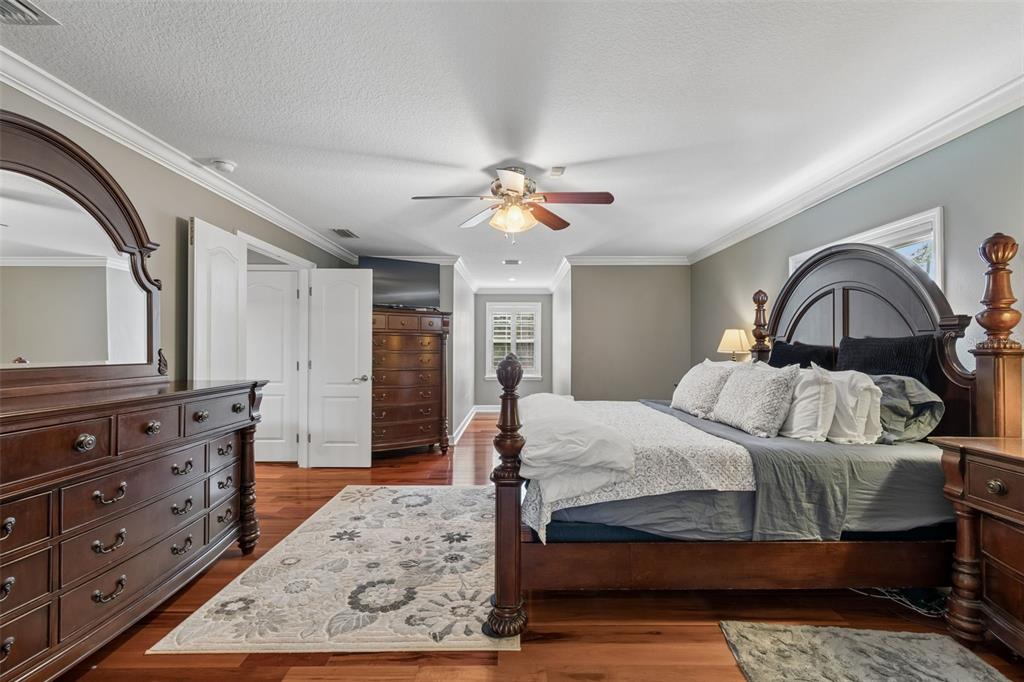 5438 Drexel Road Land O' Lakes, FL 34638 - Photo 28 of 72