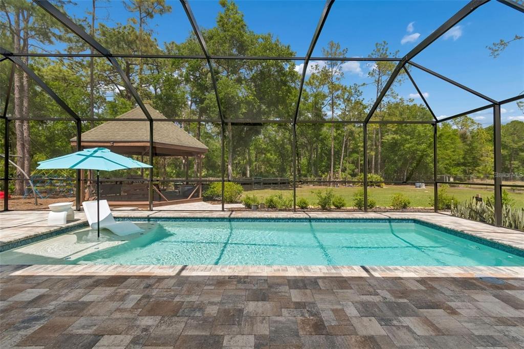 5438 Drexel Road Land O' Lakes, FL 34638 - Photo 3 of 72
