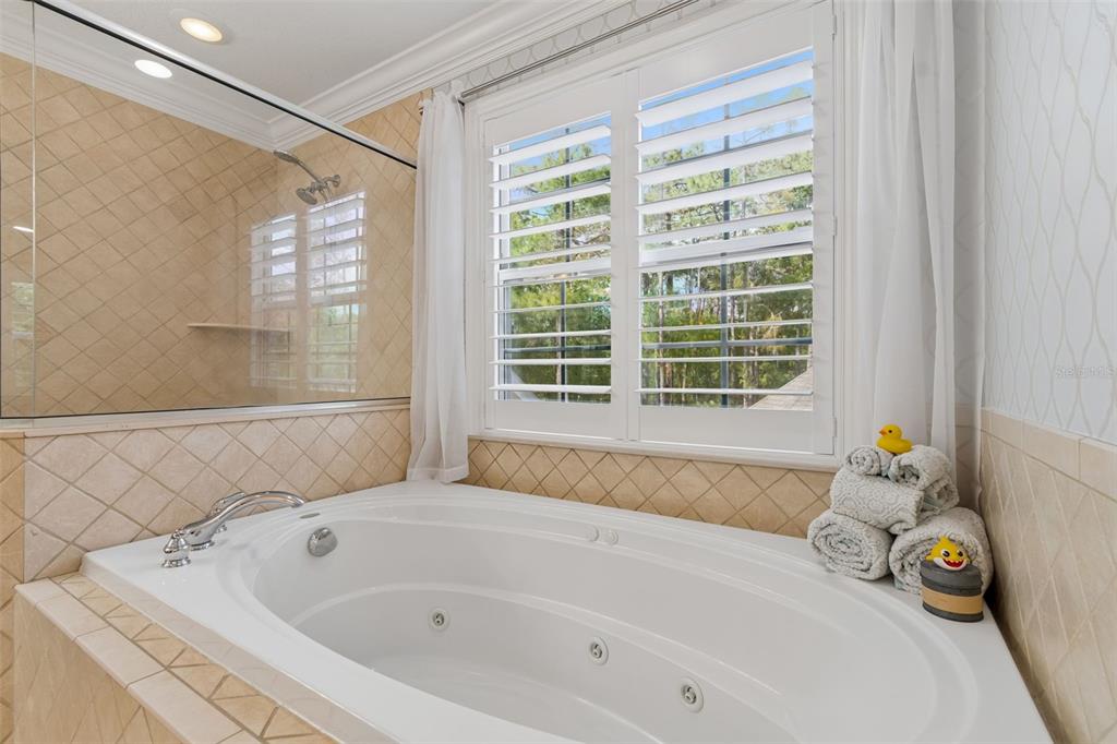 5438 Drexel Road Land O' Lakes, FL 34638 - Photo 32 of 72