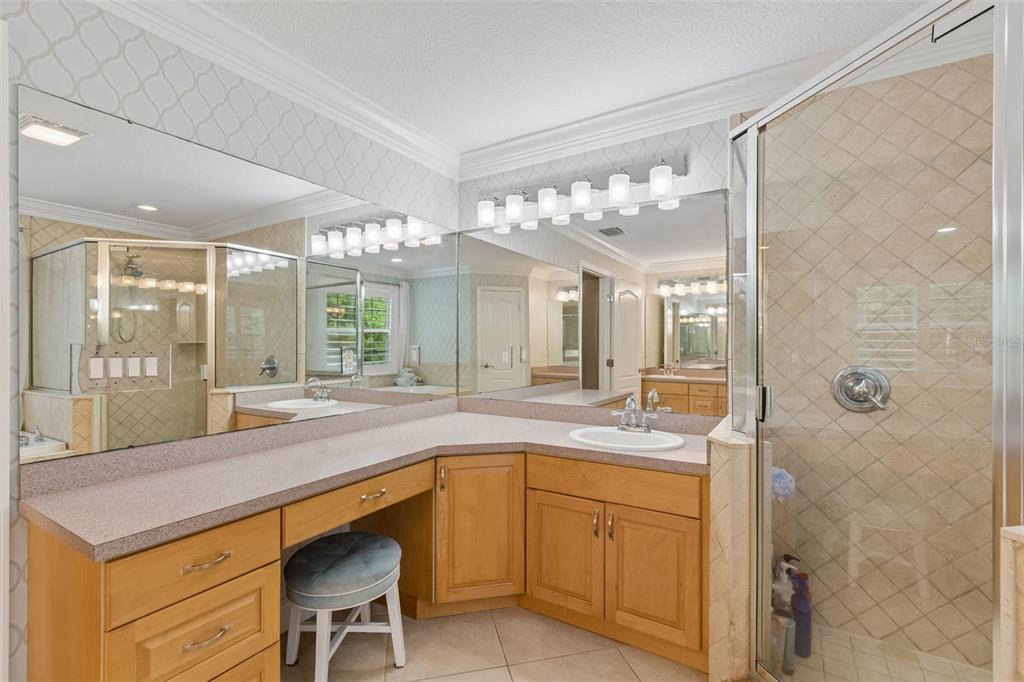 5438 Drexel Road Land O' Lakes, FL 34638 - Photo 33 of 72