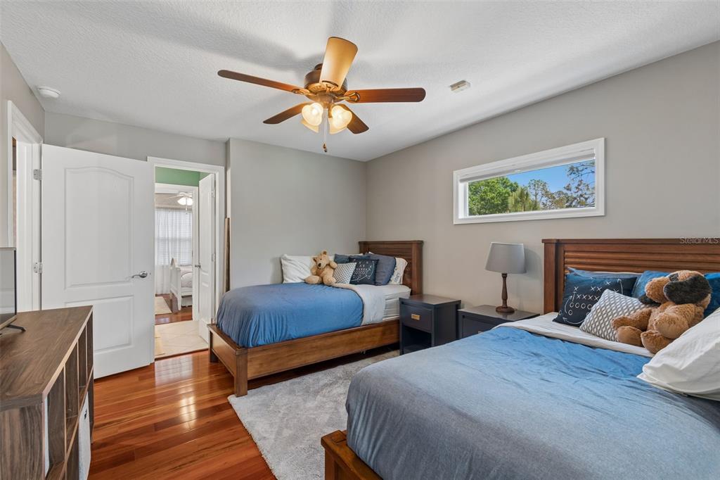 5438 Drexel Road Land O' Lakes, FL 34638 - Photo 36 of 72