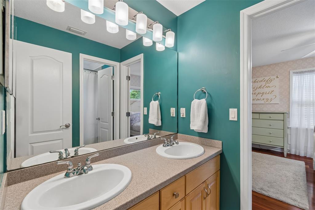 5438 Drexel Road Land O' Lakes, FL 34638 - Photo 39 of 72