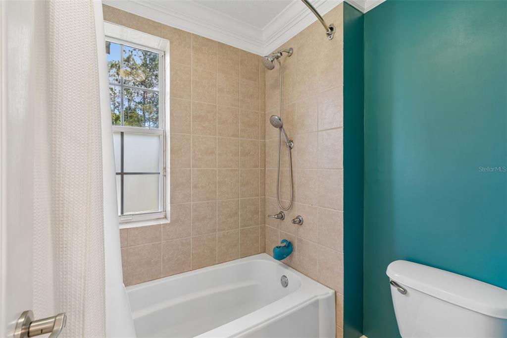 5438 Drexel Road Land O' Lakes, FL 34638 - Photo 40 of 72