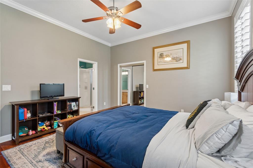 5438 Drexel Road Land O' Lakes, FL 34638 - Photo 46 of 72