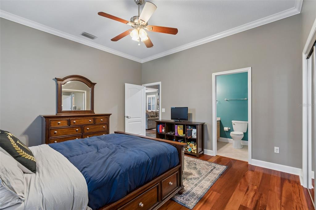 5438 Drexel Road Land O' Lakes, FL 34638 - Photo 47 of 72