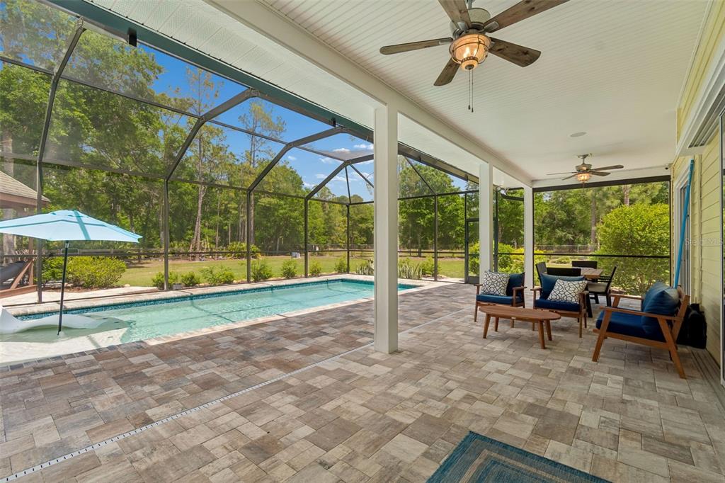 5438 Drexel Road Land O' Lakes, FL 34638 - Photo 52 of 72