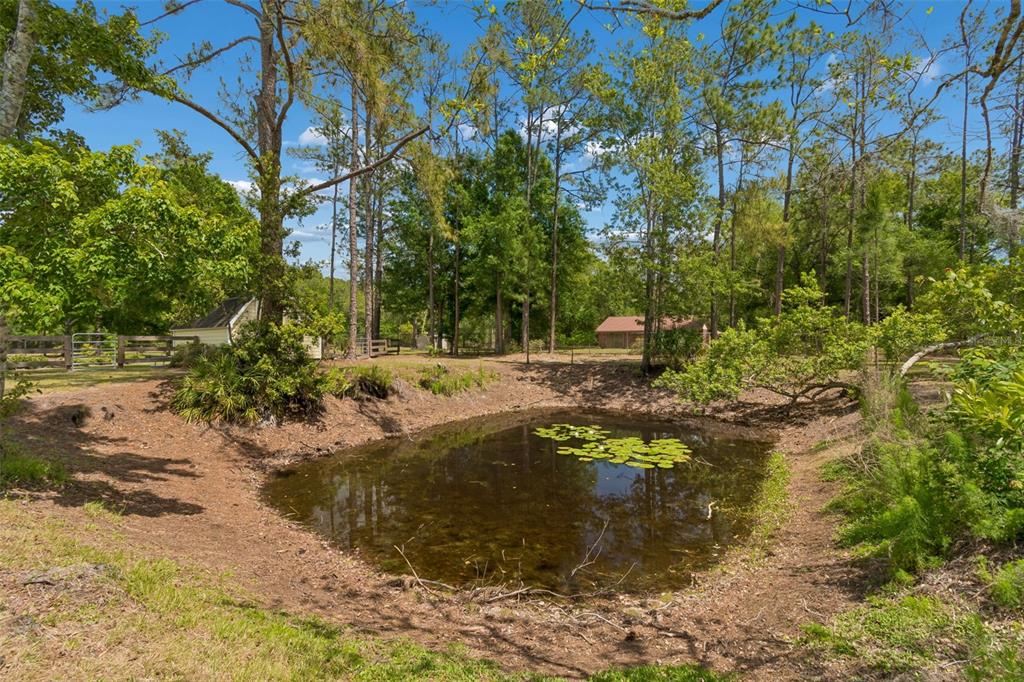 5438 Drexel Road Land O' Lakes, FL 34638 - Photo 56 of 72