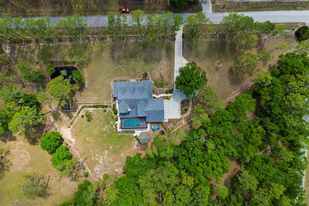 5438 Drexel Road Land O' Lakes, FL 34638 - Photo 62 of 72