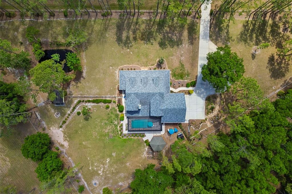 5438 Drexel Road Land O' Lakes, FL 34638 - Photo 63 of 72