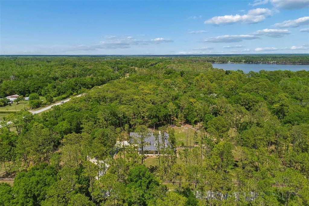 5438 Drexel Road Land O' Lakes, FL 34638 - Photo 64 of 72